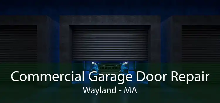 Commercial Garage Door Repair Wayland - MA