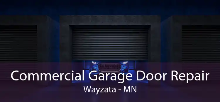 Commercial Garage Door Repair Wayzata - MN