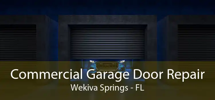Commercial Garage Door Repair Wekiva Springs - FL
