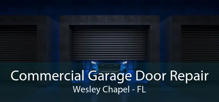 Commercial Garage Door Repair Wesley Chapel - FL