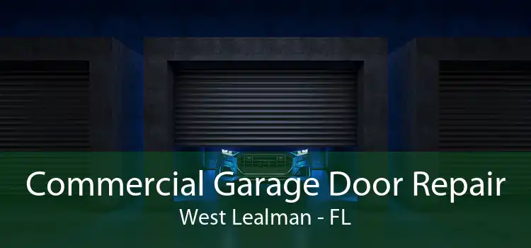 Commercial Garage Door Repair West Lealman - FL
