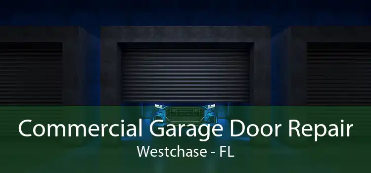 Commercial Garage Door Repair Westchase - FL