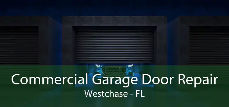  Commercial Garage Door Repair Westchase - FL