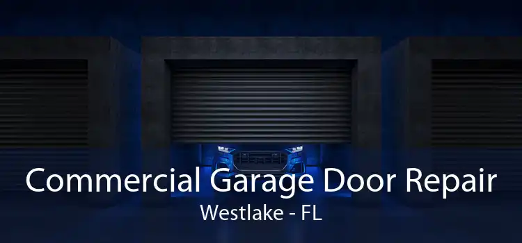 Commercial Garage Door Repair Westlake - FL