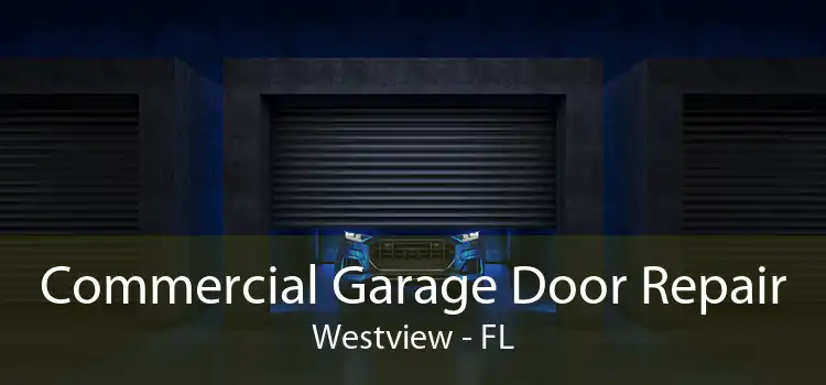 Commercial Garage Door Repair Westview - FL