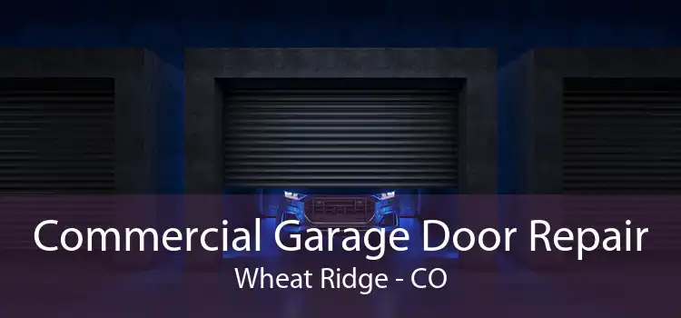 Commercial Garage Door Repair Wheat Ridge - CO