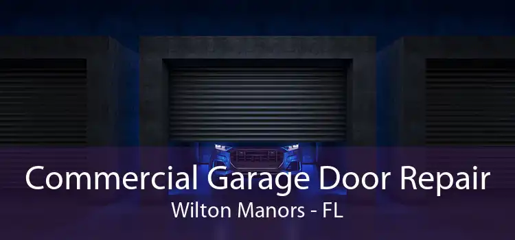 Commercial Garage Door Repair Wilton Manors - FL