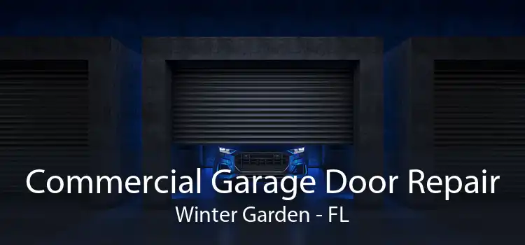 Commercial Garage Door Repair Winter Garden - FL