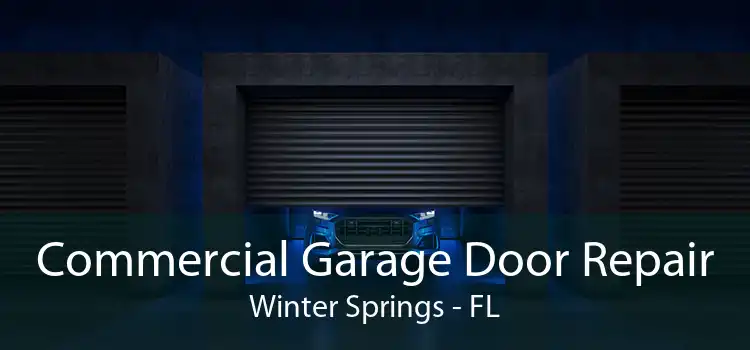 Commercial Garage Door Repair Winter Springs - FL