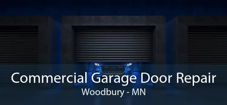 Commercial Garage Door Repair Woodbury - MN