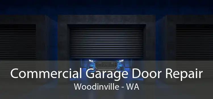 Commercial Garage Door Repair Woodinville - WA