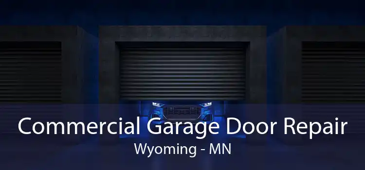 Commercial Garage Door Repair Wyoming - MN
