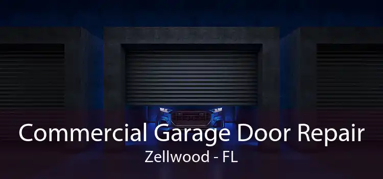 Commercial Garage Door Repair Zellwood - FL