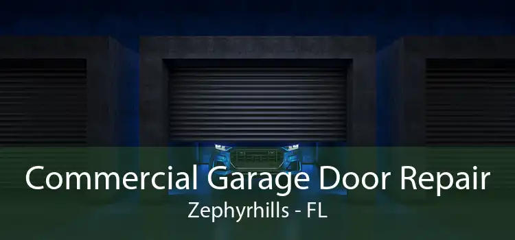 Commercial Garage Door Repair Zephyrhills - FL