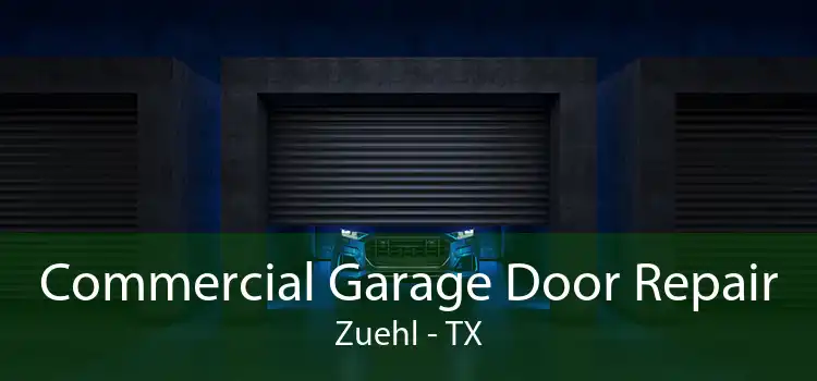 Commercial Garage Door Repair Zuehl - TX