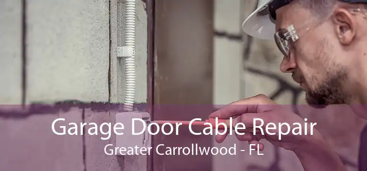 Garage Door Cable Repair Greater Carrollwood - FL
