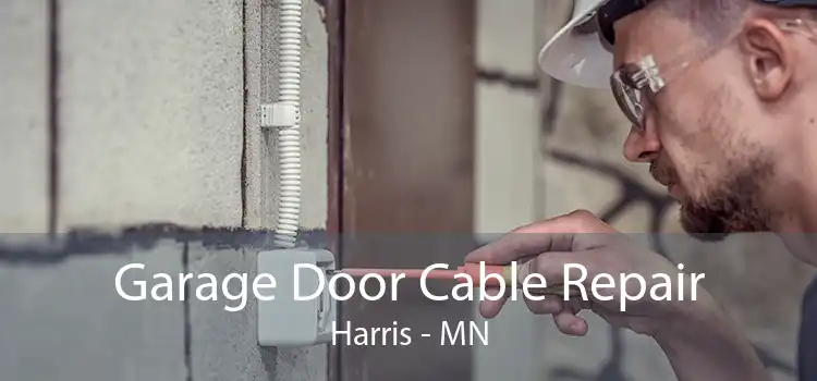  Garage Door Cable Repair Harris - MN