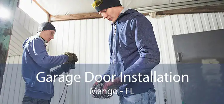 Garage Door Installation Mango - FL