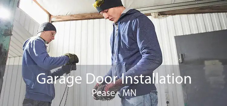 Garage Door Installation Pease - MN