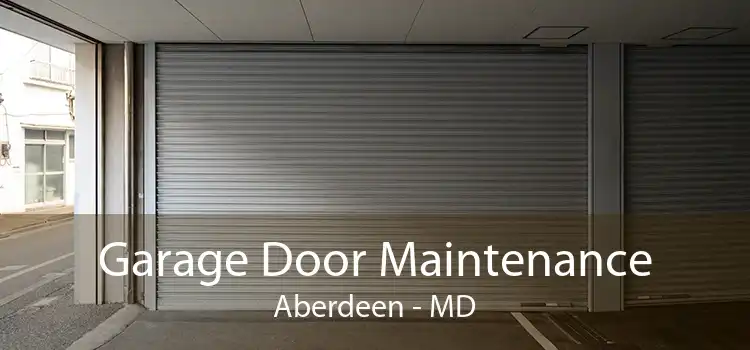 Garage Door Maintenance Aberdeen - MD
