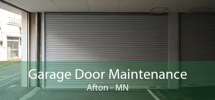Garage Door Maintenance Afton - MN