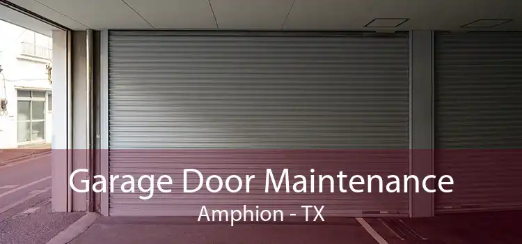 Garage Door Maintenance Amphion - TX