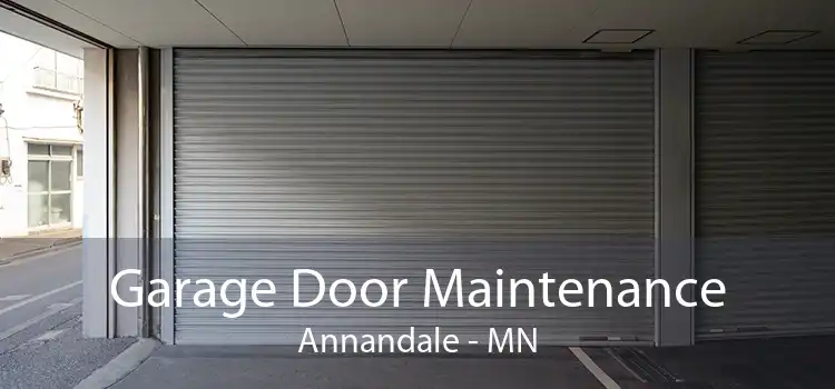Garage Door Maintenance Annandale - MN