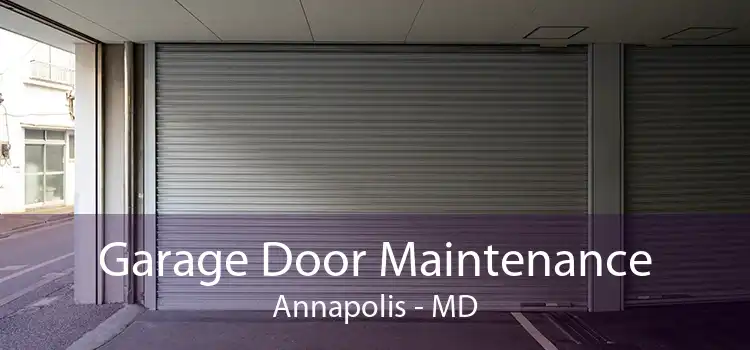 Garage Door Maintenance Annapolis - MD