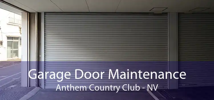 Garage Door Maintenance Anthem Country Club - NV