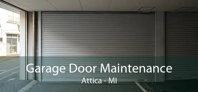 Garage Door Maintenance Attica - MI