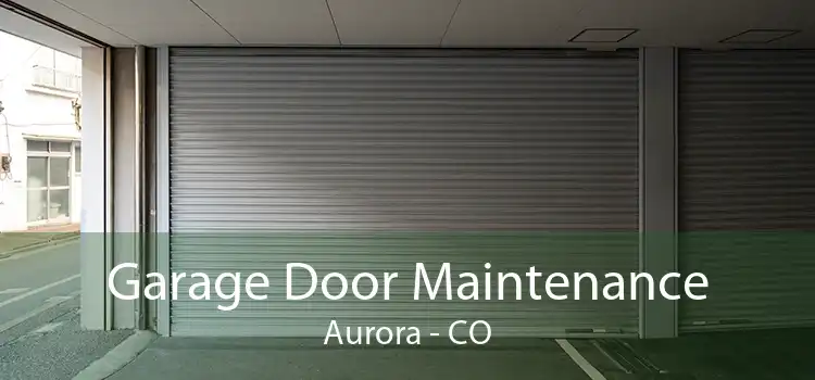 Garage Door Maintenance Aurora - CO