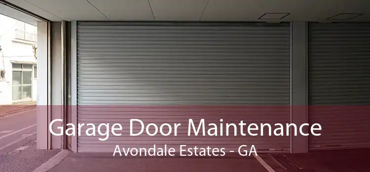 Garage Door Maintenance Avondale Estates - GA