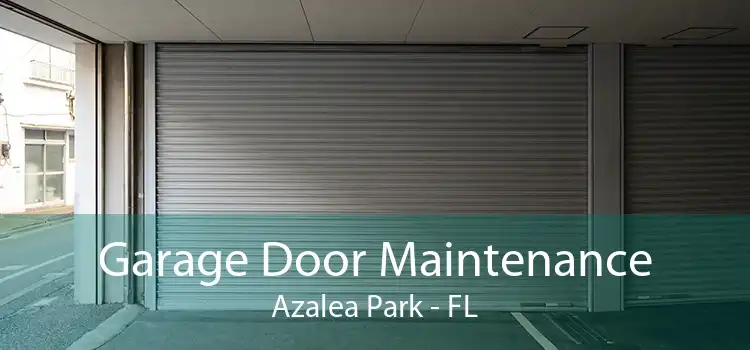 Garage Door Maintenance Azalea Park - FL