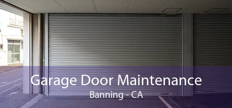 Garage Door Maintenance Banning - CA