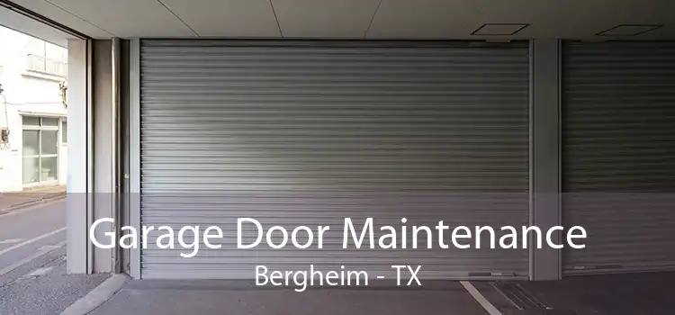 Garage Door Maintenance Bergheim - TX