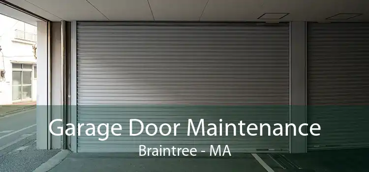 Garage Door Maintenance Braintree - MA