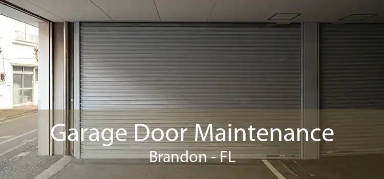 Garage Door Maintenance Brandon - FL