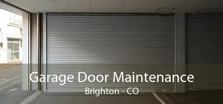 Garage Door Maintenance Brighton - CO