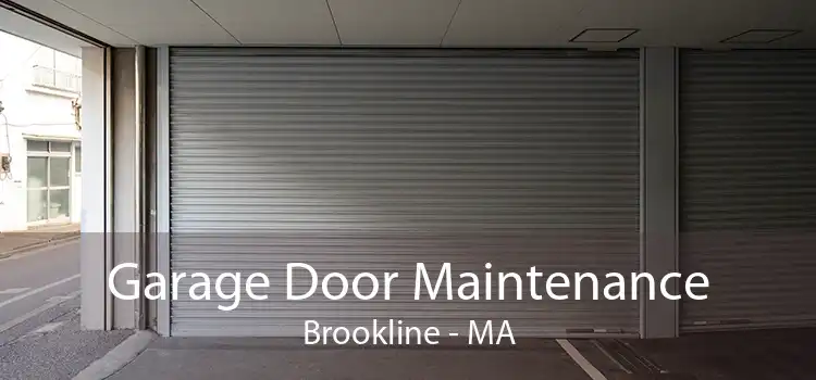 Garage Door Maintenance Brookline - MA