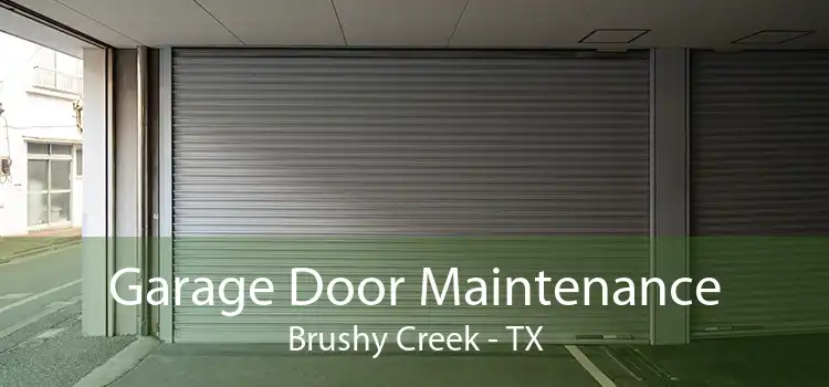 Garage Door Maintenance Brushy Creek - TX