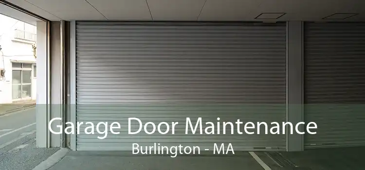 Garage Door Maintenance Burlington - MA