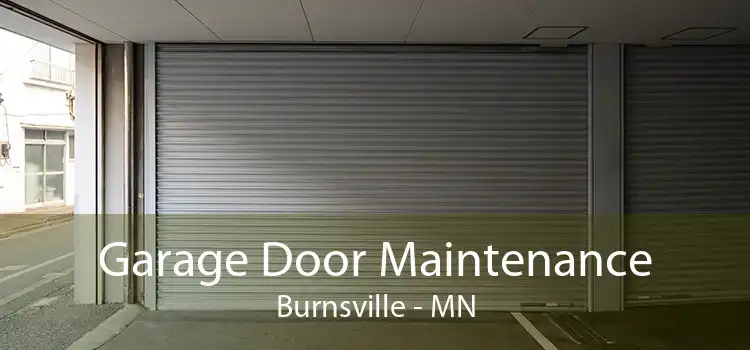 Garage Door Maintenance Burnsville - MN