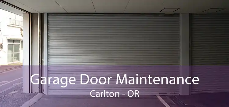 Garage Door Maintenance Carlton - OR