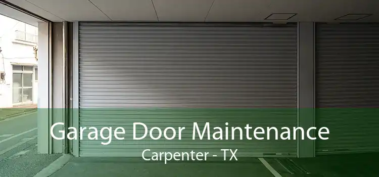 Garage Door Maintenance Carpenter - TX
