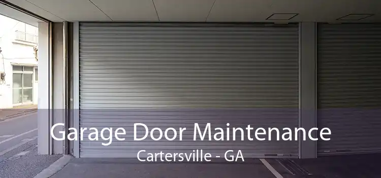 Garage Door Maintenance Cartersville - GA