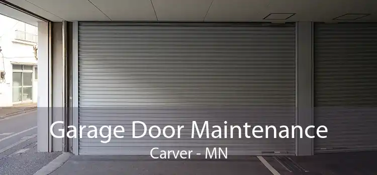 Garage Door Maintenance Carver - MN