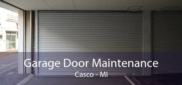 Garage Door Maintenance Casco - MI