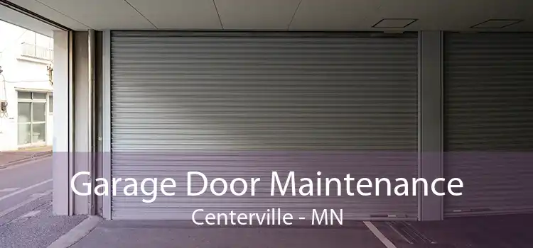 Garage Door Maintenance Centerville - MN