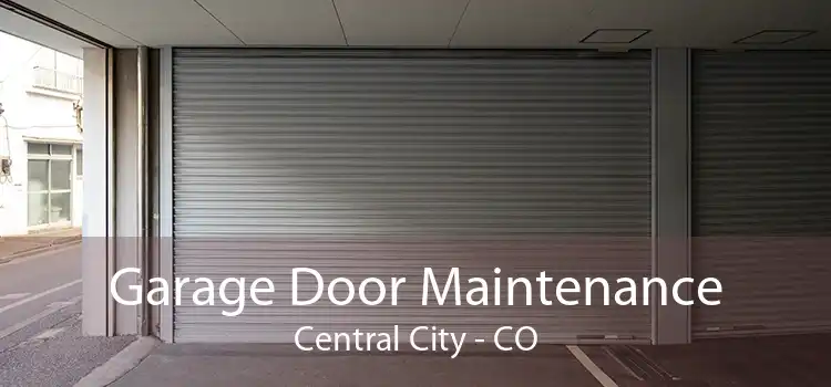 Garage Door Maintenance Central City - CO