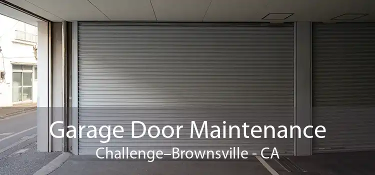 Garage Door Maintenance Challenge–Brownsville - CA